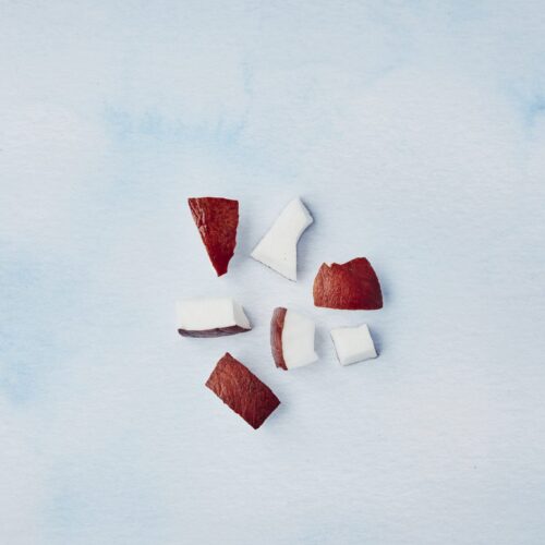 Coconut