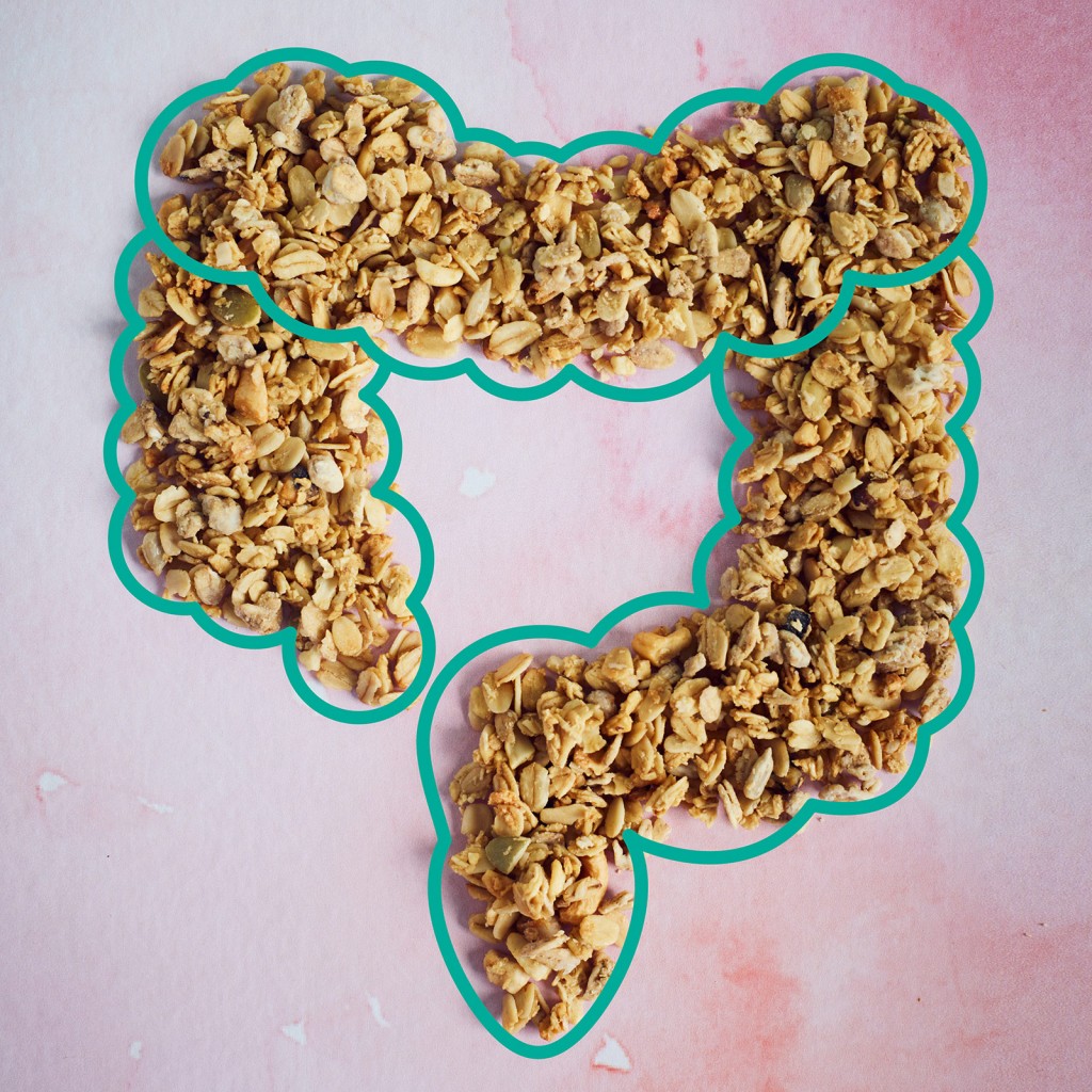 Image - Do you know your gut?
