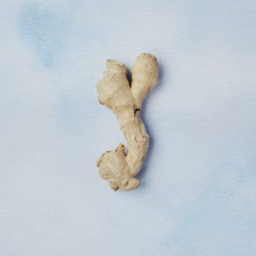 Ginger