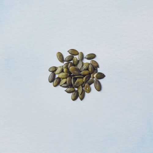 Pumpkin Seeds